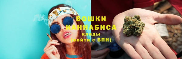 прущие крисы Белокуриха