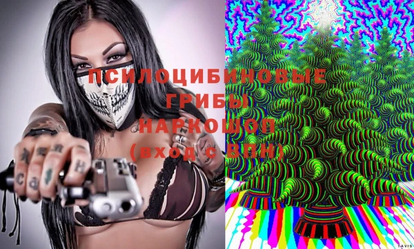 прущие крисы Белокуриха