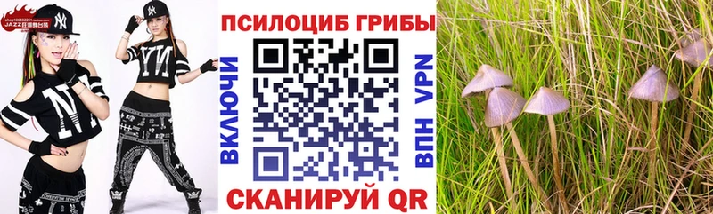 Псилоцибиновые грибы Magic Shrooms  цена наркотик  блэк спрут зеркало  Гатчина 